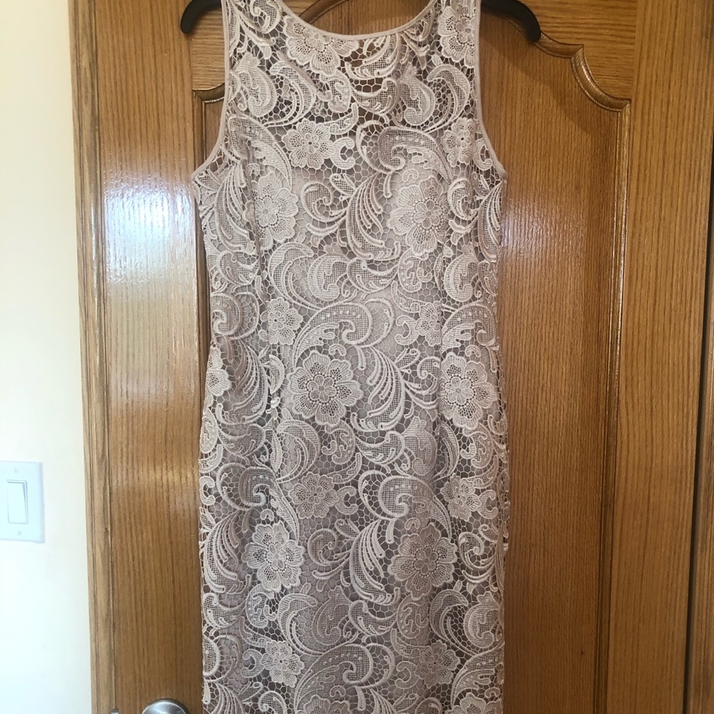 NWT Cache beige dress size 6